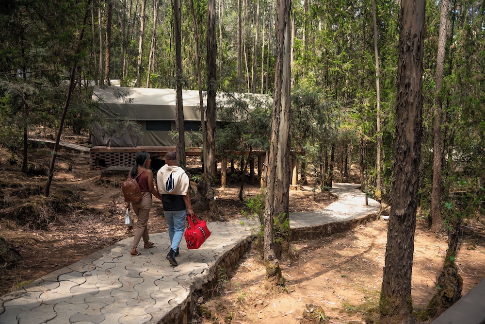 Kuriftu Entoto Adventure Park 35/39