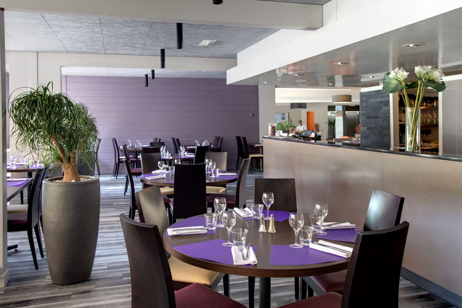 Hotel Alexander Park Chambery 32/43