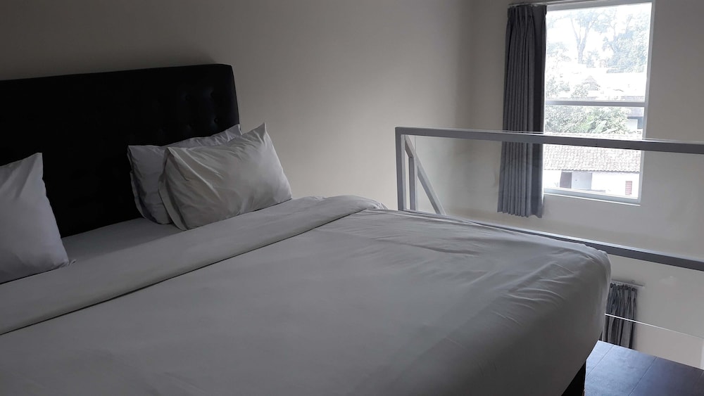 Amaryllis Hotels 11/15