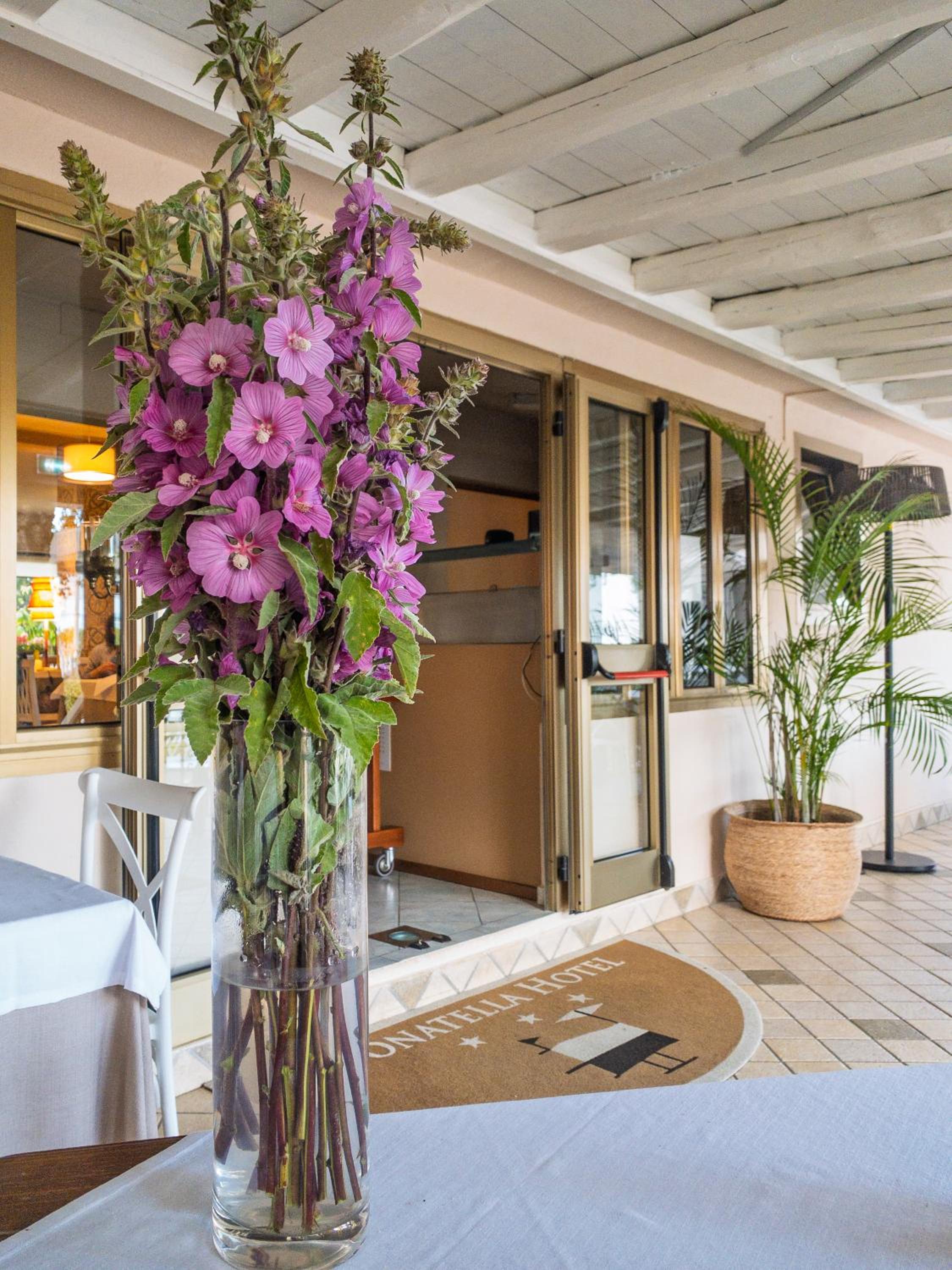 Hotel Donatella 8/50