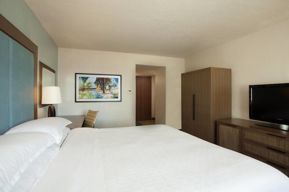 Hotel Rumbao, a Tribute Portfolio Hotel 11/65