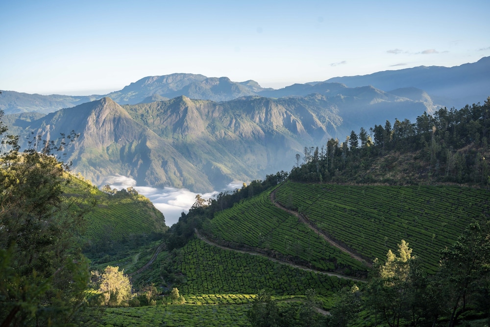 FORT MUNNAR. 50/54