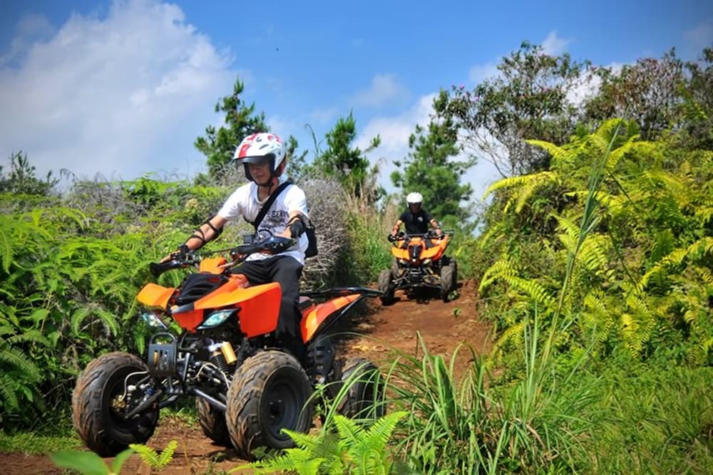 Sari Ater 35/43