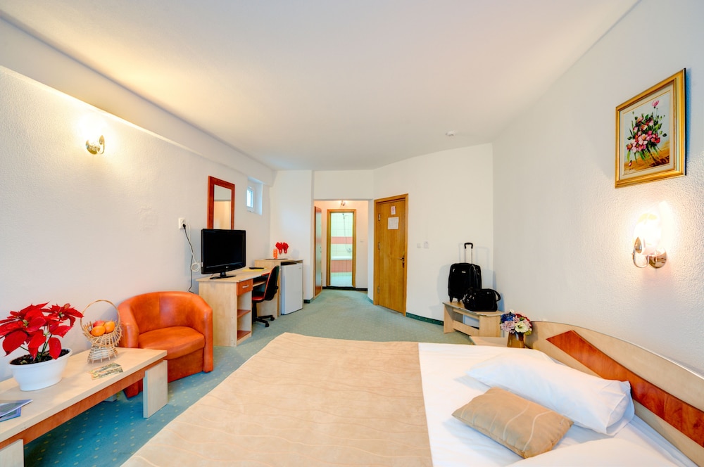 Hotel Cornul Vanatorului 17/68