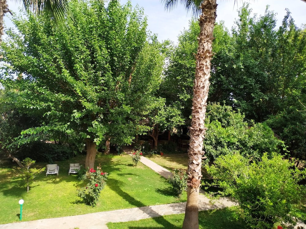 Olympos Yavuz Hotel 33/38
