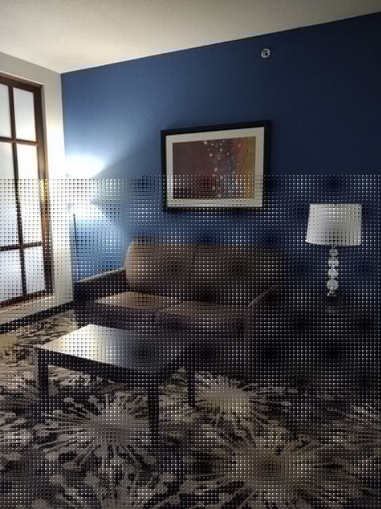 Comfort Suites Greenville 22/42