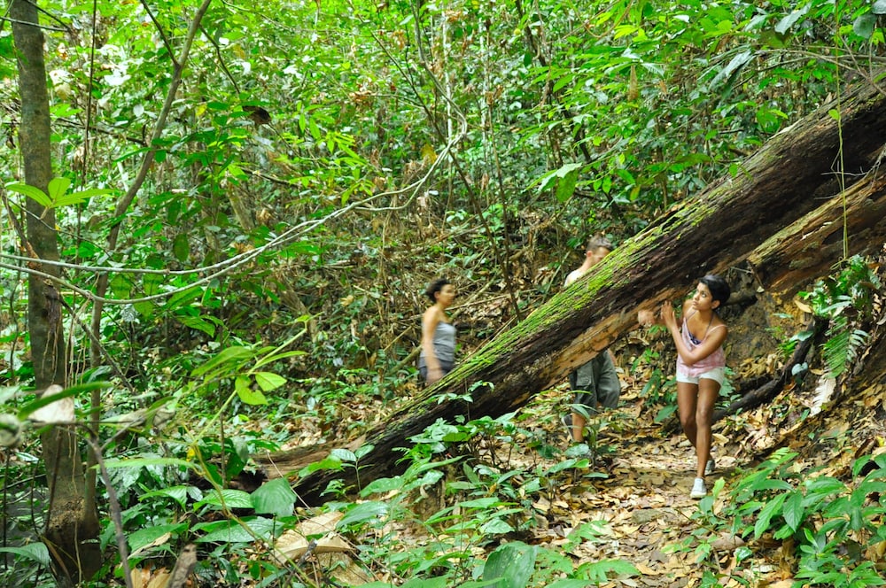 The Dusun 41/50