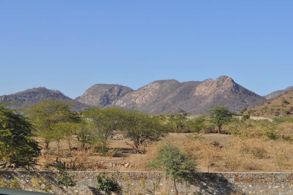 Tree of Life Sariska Manor 38/58