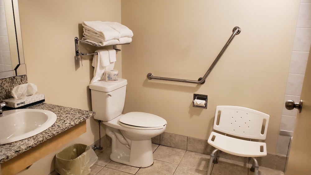Travelodge By Wyndham Stony Plain 18/38