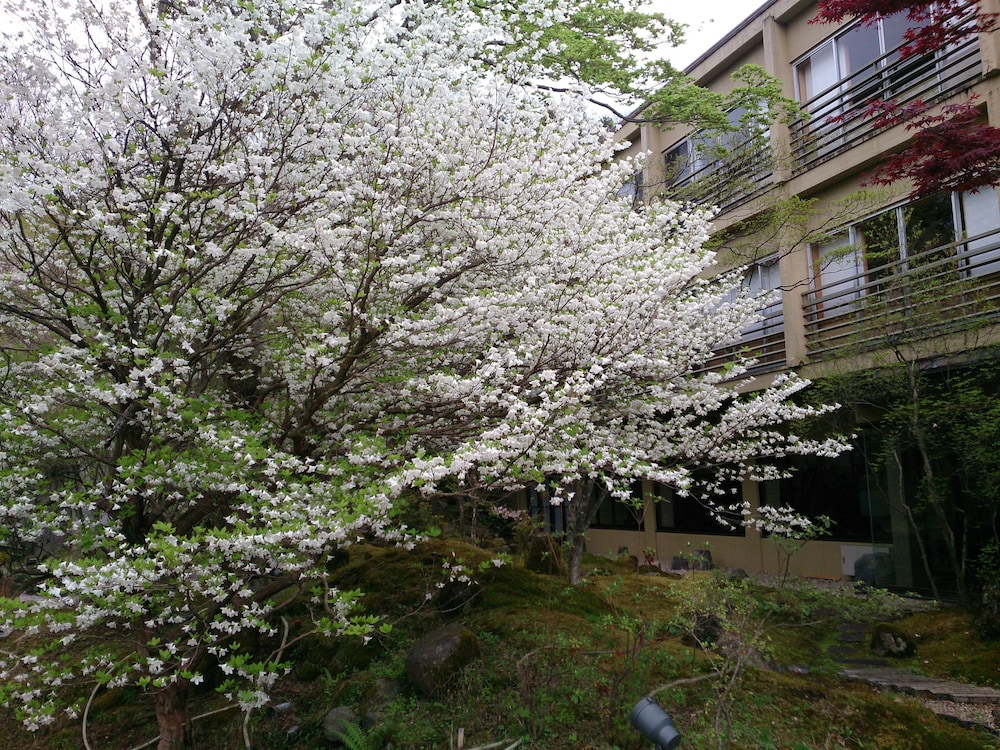 Nikko Hoshinoyado 39/46
