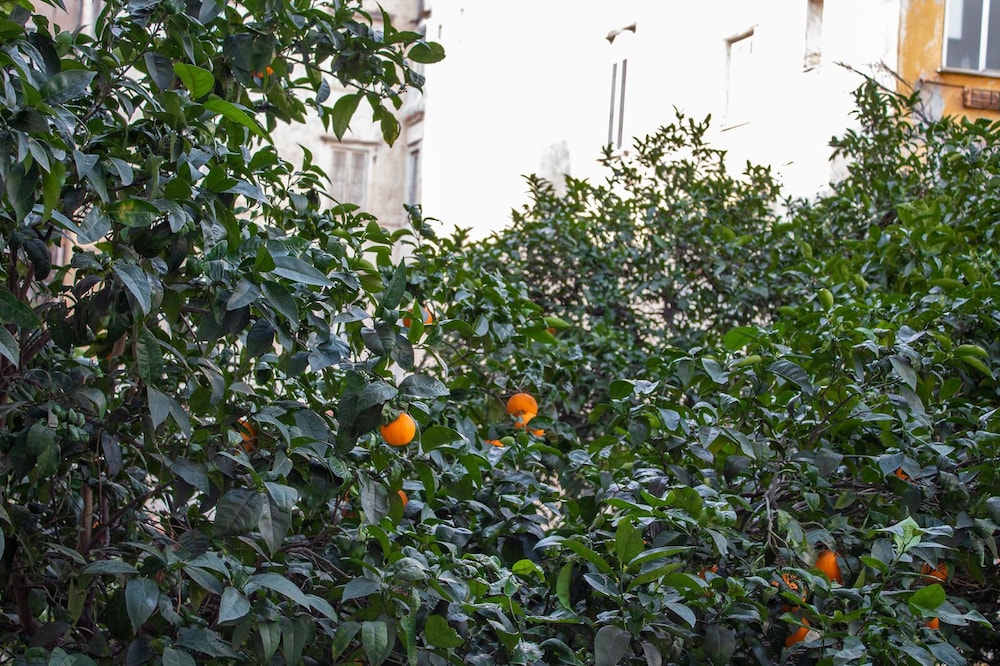 Le Stanze Del Vicere Boutique Hotel 26/29