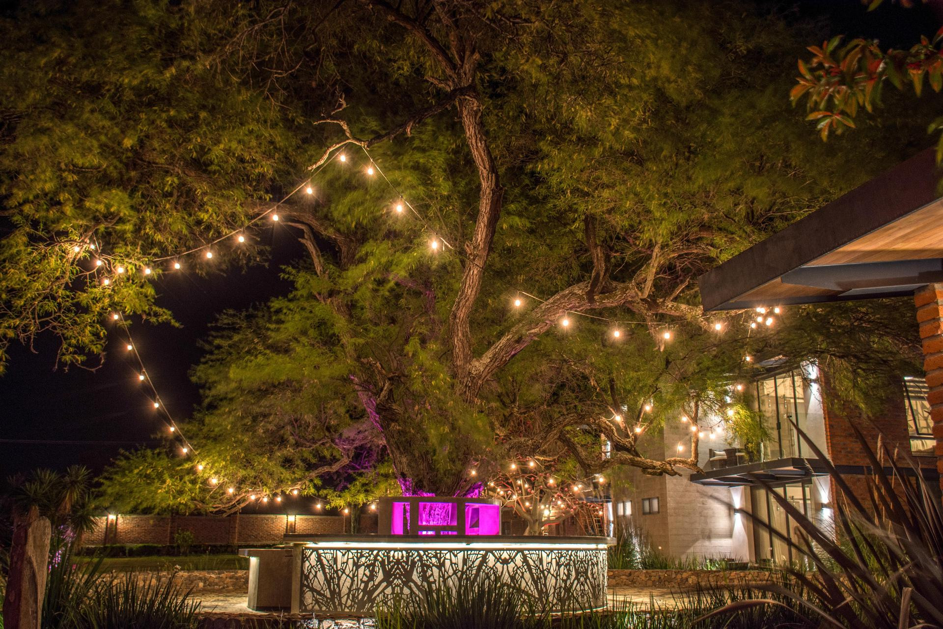 Areval Hotel Boutique De Lago Y Eventos 29/44