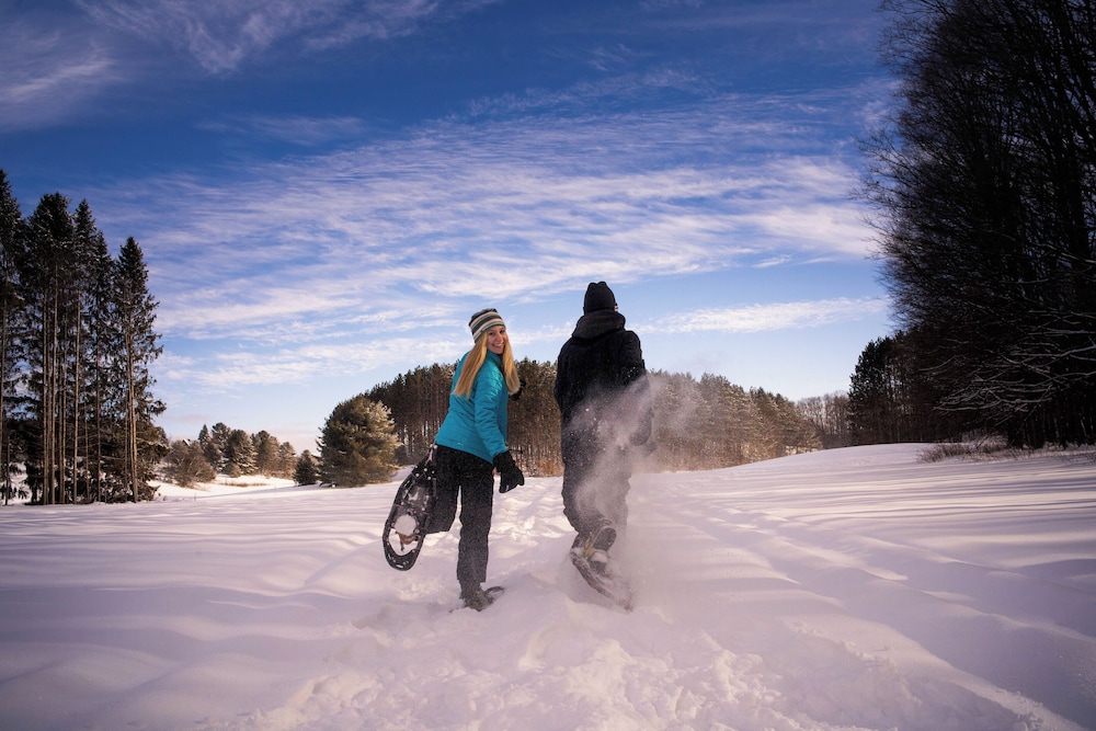 Shanty Creek Resorts - Summit Village 14/50