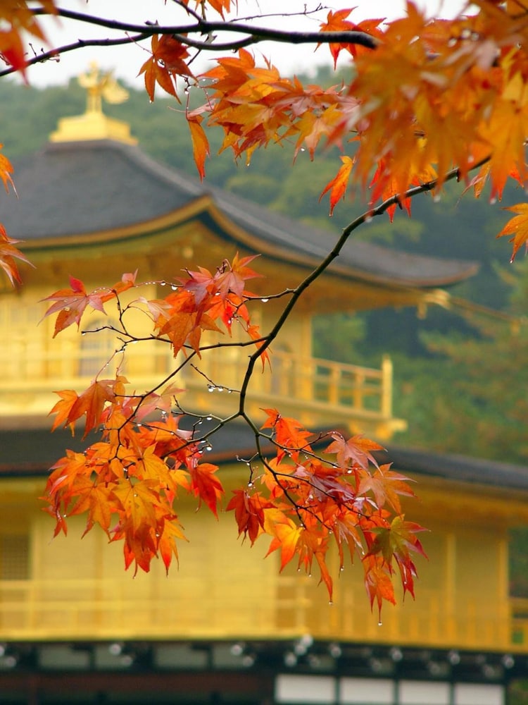 Ben's Guesthouse Kyoto 35/47