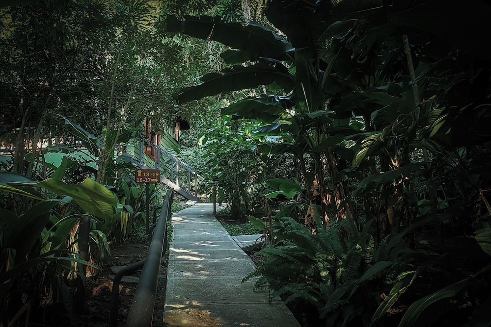 Monteverde Luxury Hotel 63/67