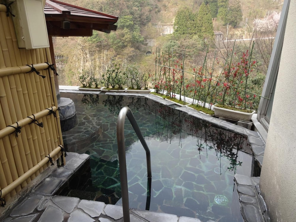 Hotel Kurobe 15/50
