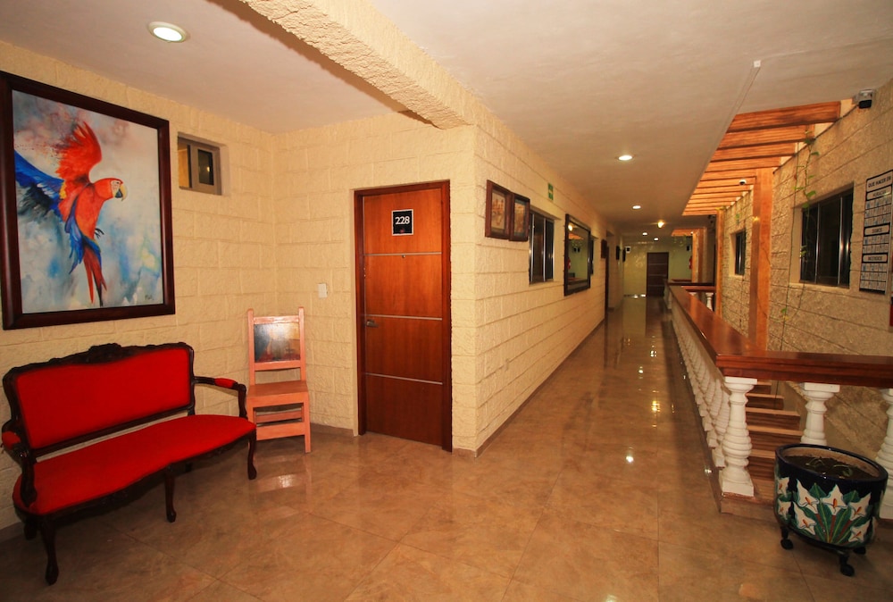 Hotel Posada Papagayo 6/36