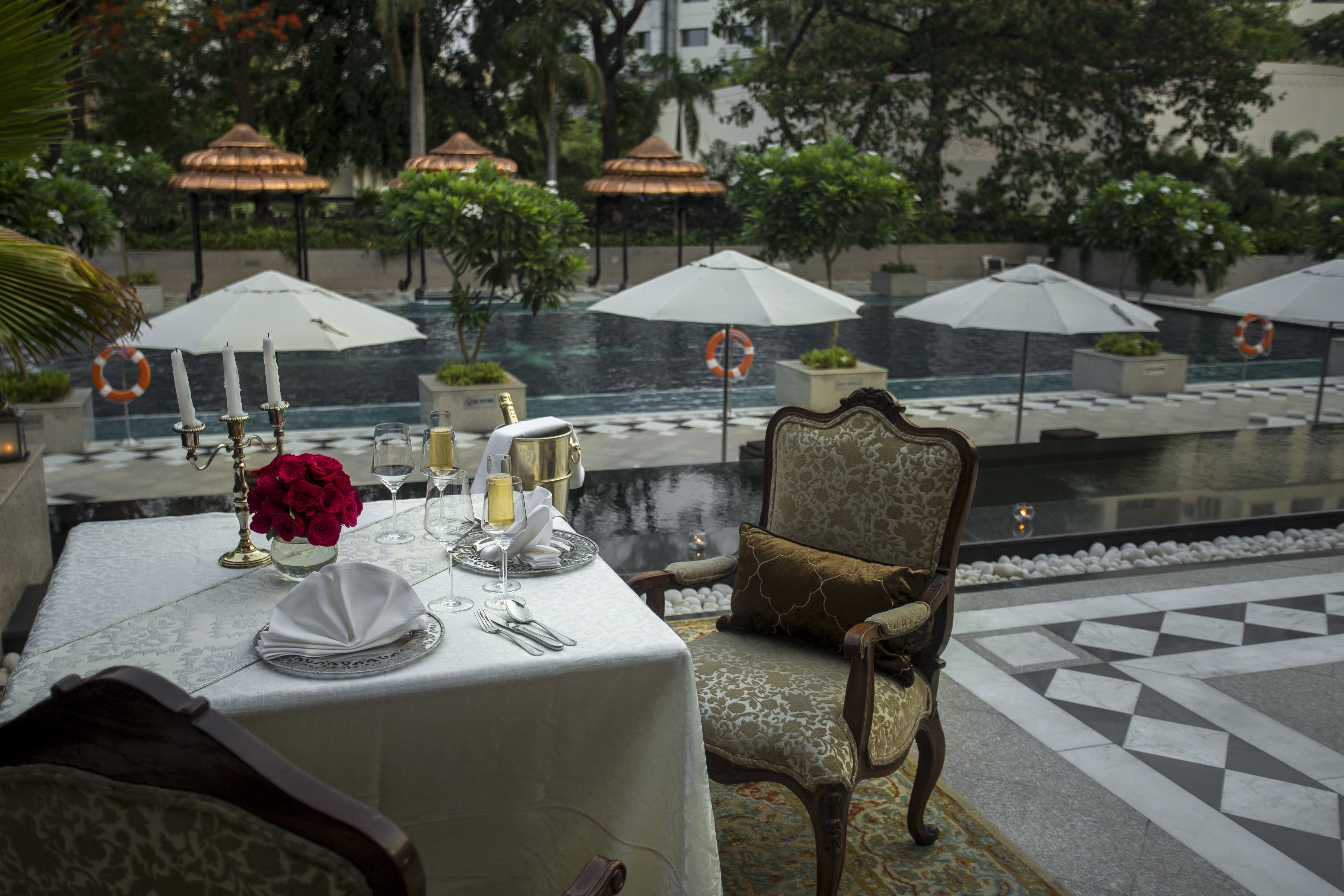 TAJ KRISHNA 61/84