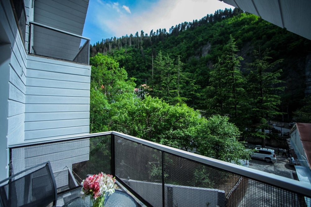 Borjomi Underwood Hotel 55/60