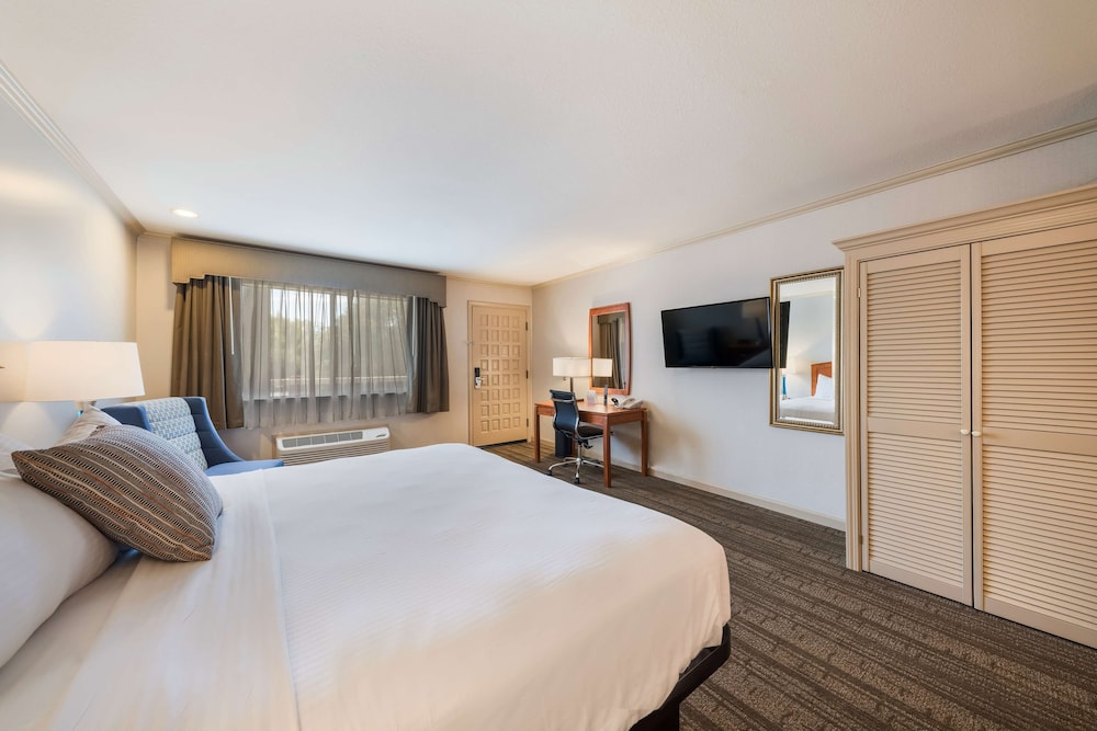 Standard, King Bed