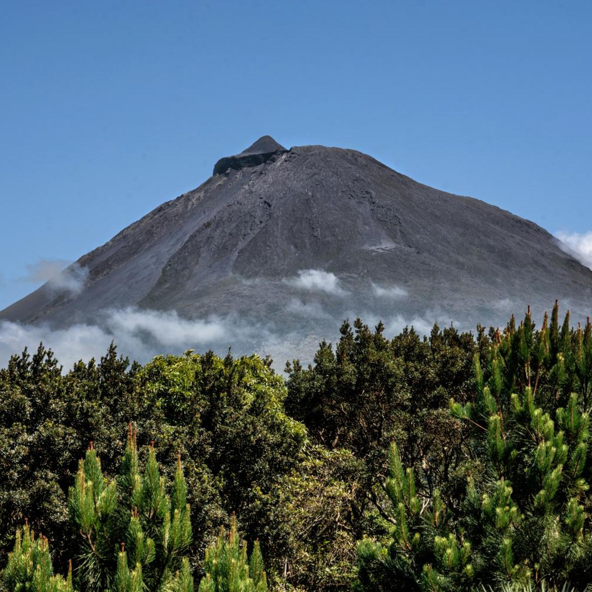 Alma do Pico 47/50