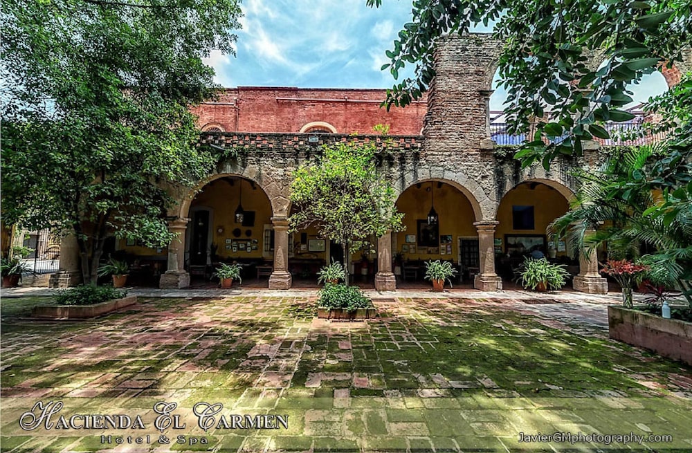 Hacienda El Carmen Hotel and Spa 2/50
