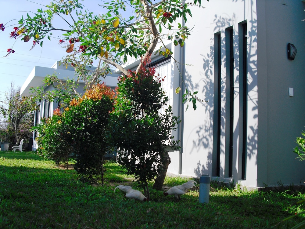 Van Nguyen Minihouse 58/67