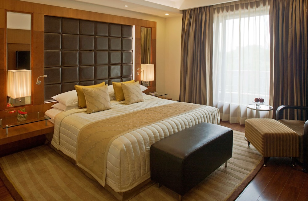 Radisson Blu Plaza Hotel Delhi Airport 17/76