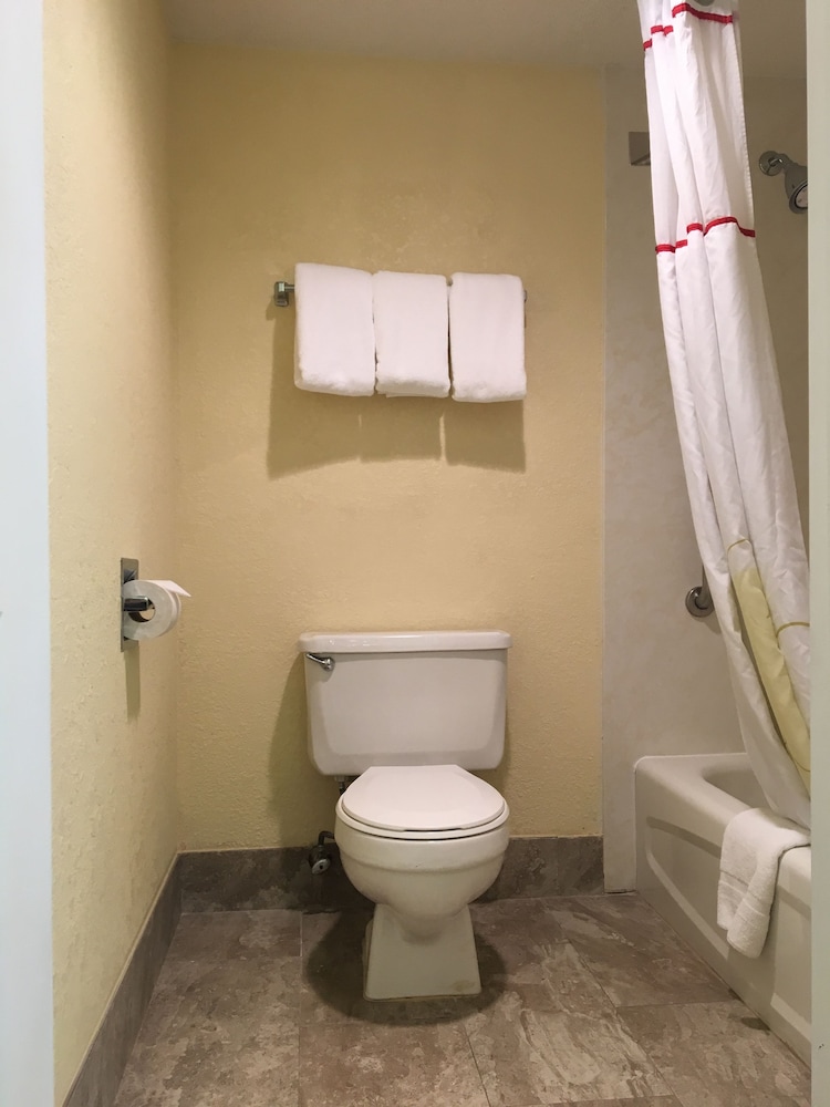 STUDIO, SUITE, QUEEN BED, SOFA