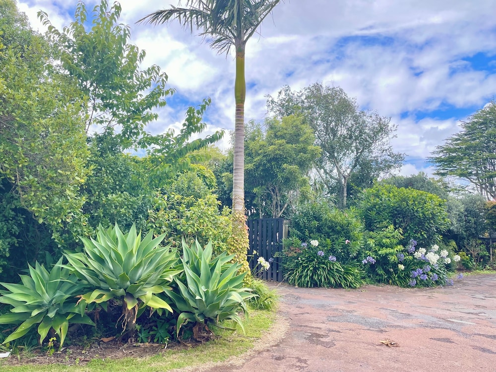 Mt Eden Motel 44/50