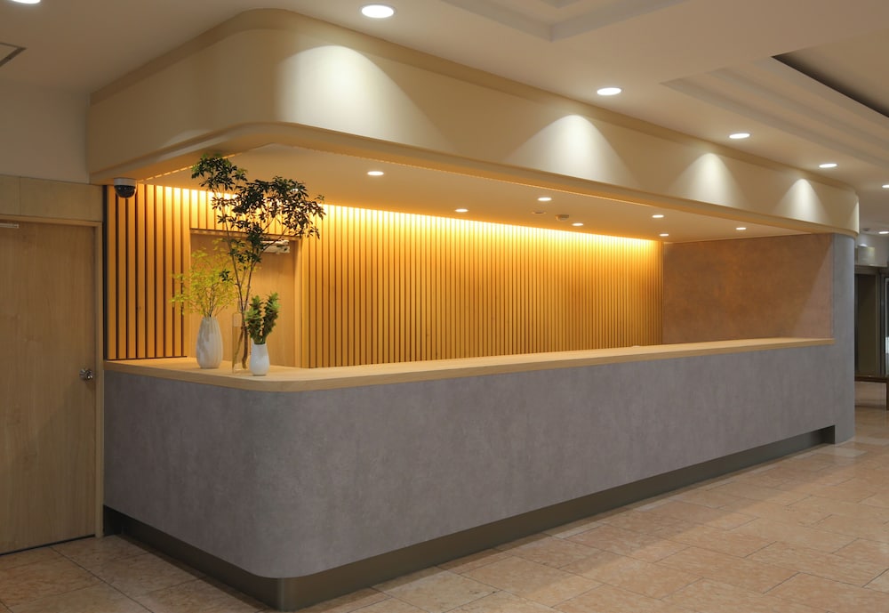 Hotel New Itaya 2/18