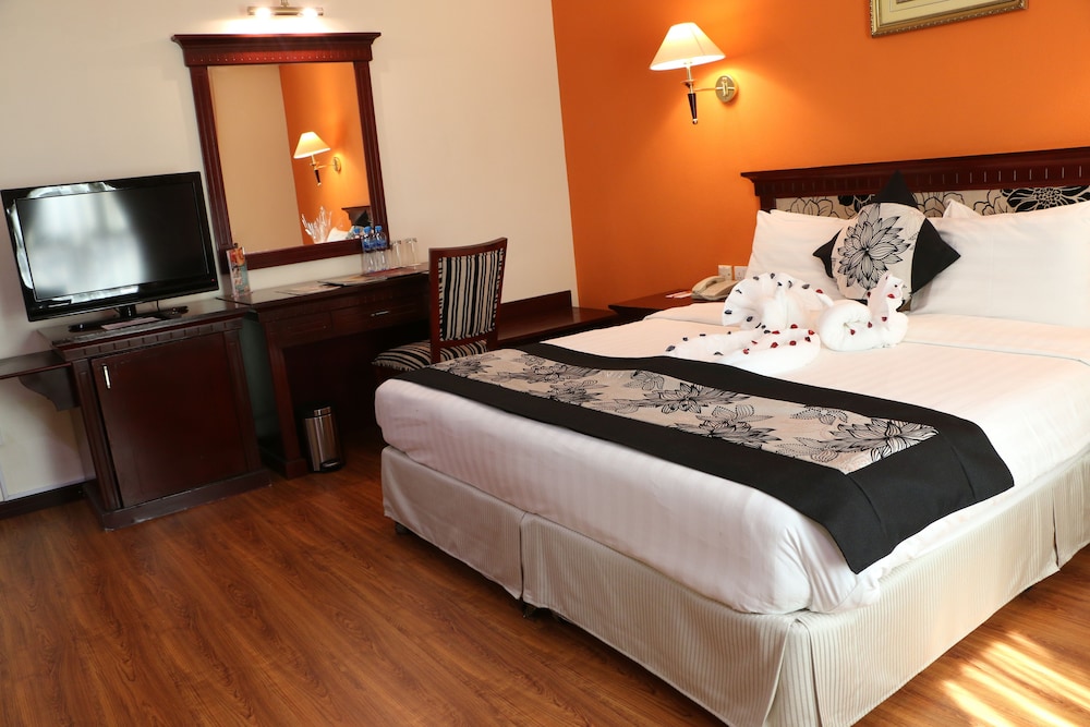 Pars International Hotel 19/58