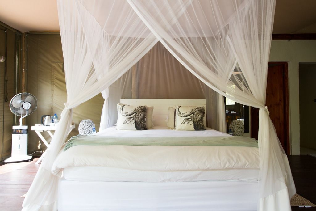 COMFORT, TENT