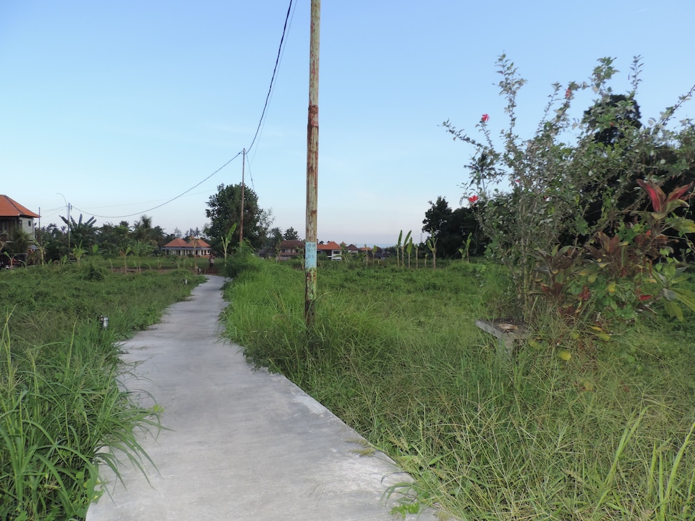 Duana Sari Ubud 37/44