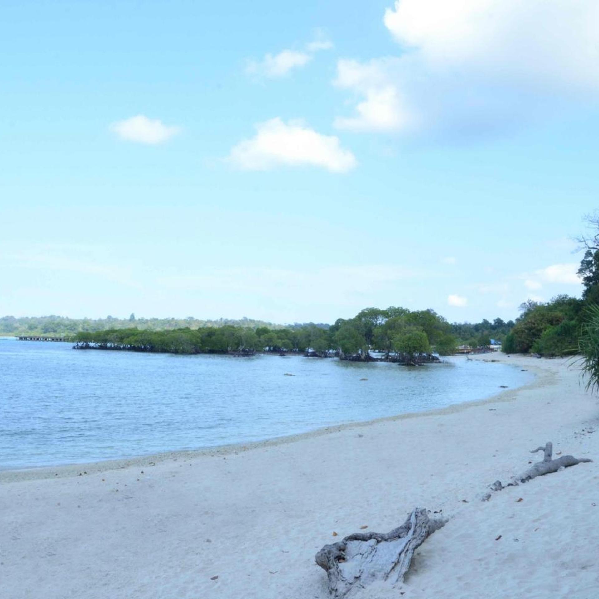 Coconhuts Beach Resort-Neil Island 37/49
