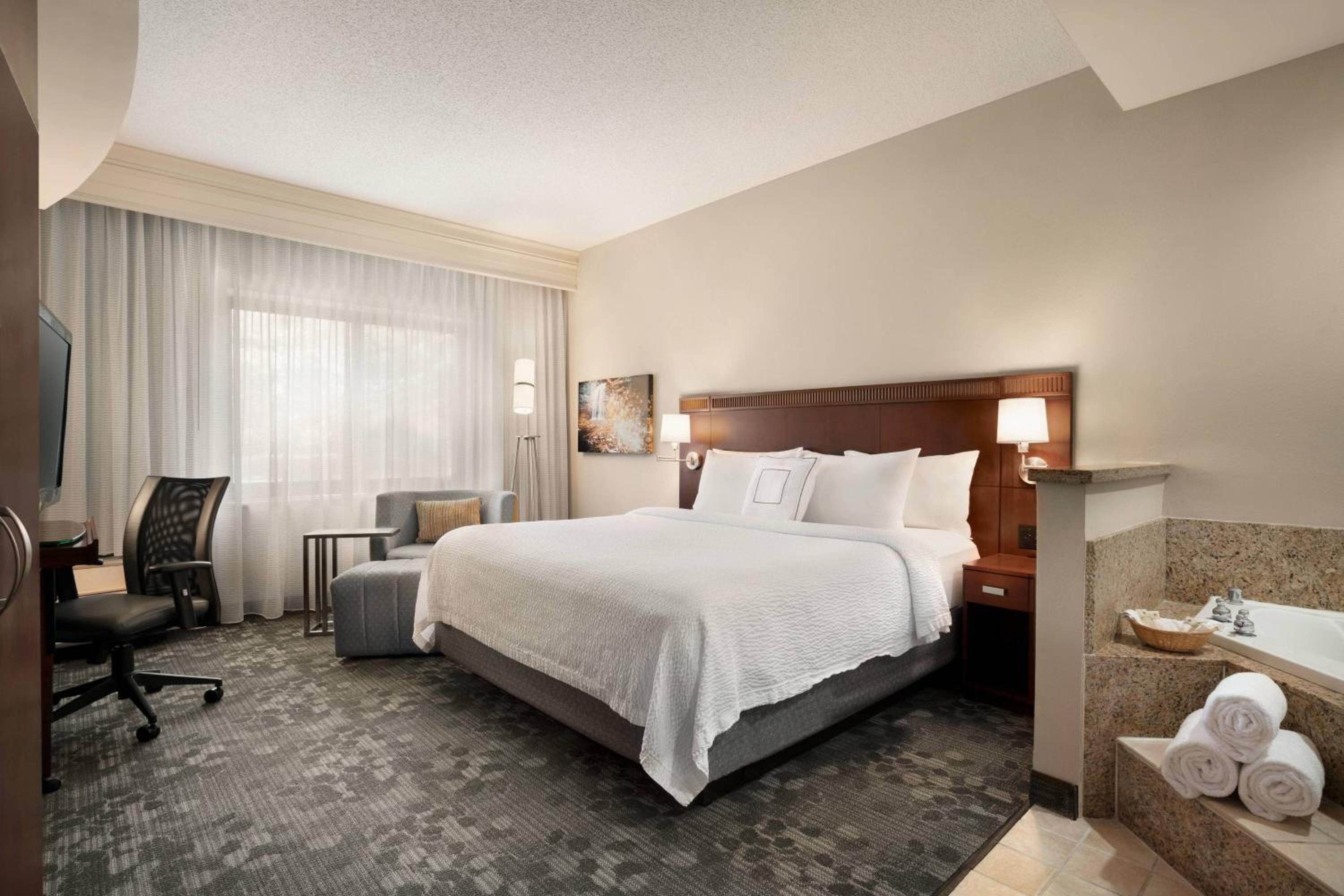 Specialty, King Bed, Bathtub, Accessible