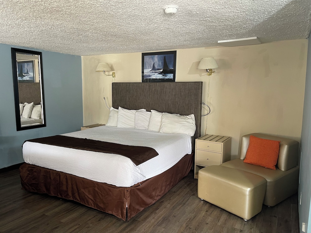 Safari Motel 11/55