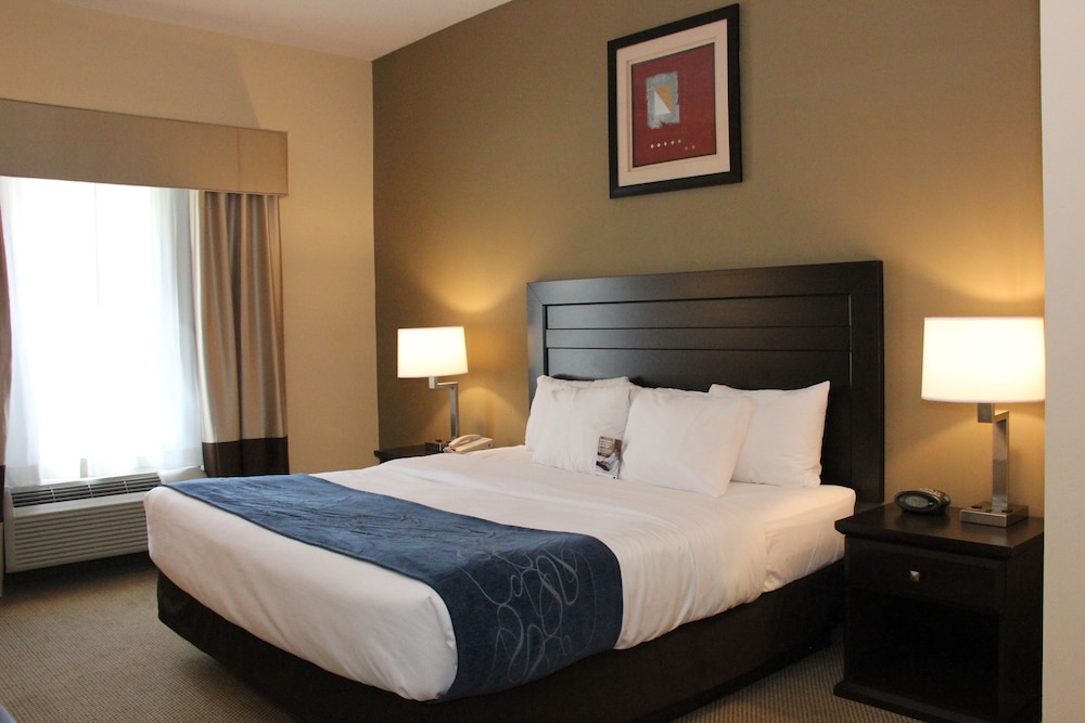 Comfort Suites South Bend Near Casino 21/33