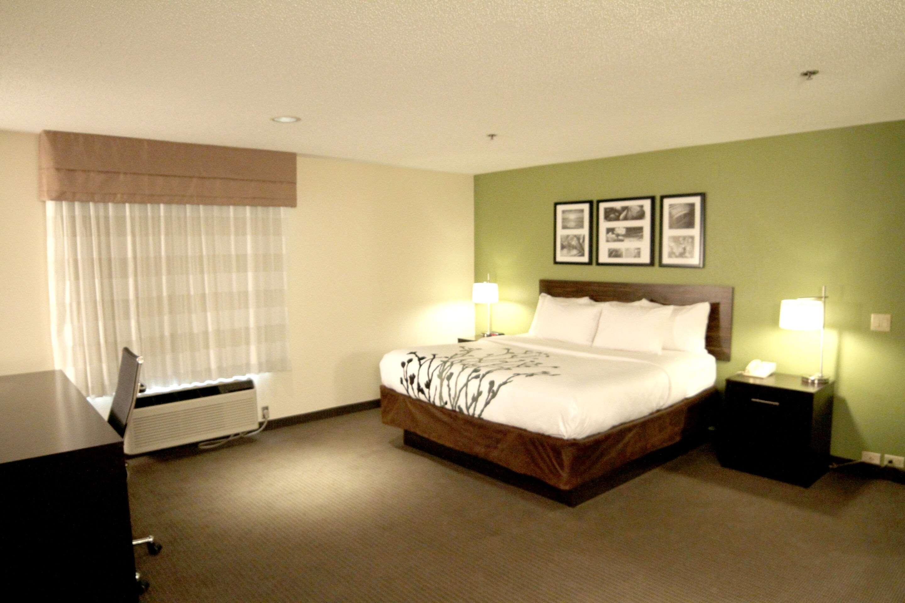 ROOM, KING BED