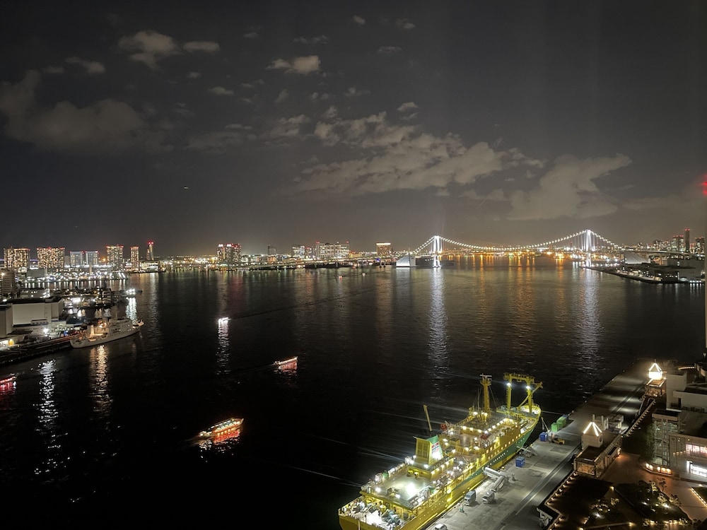 Bayside Hotel Azur Takeshiba 38/43