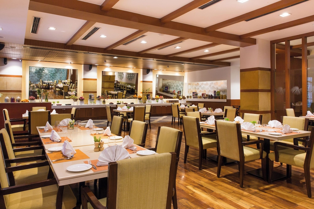 DLF Club 5 23/34