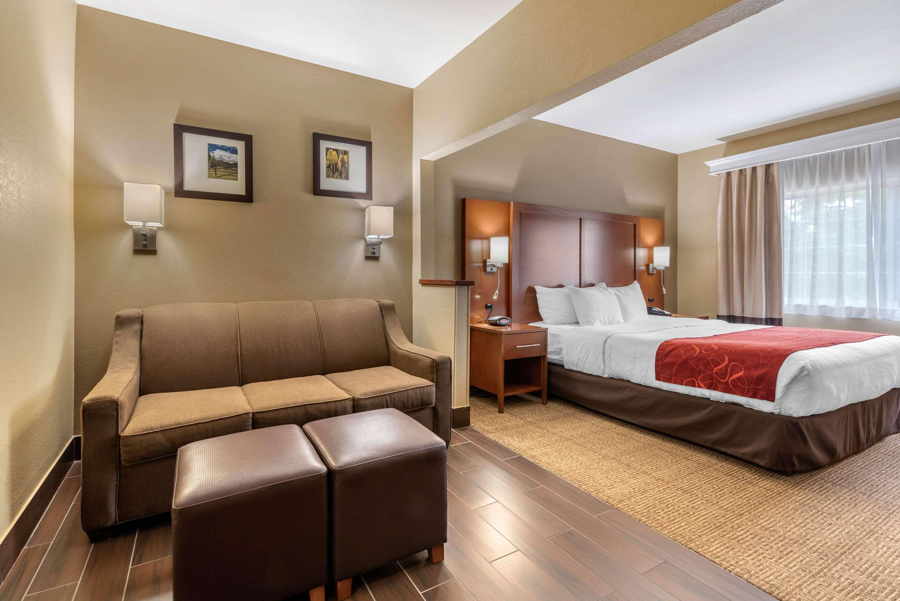 SUITE, KING BED, ACCESSIBLE