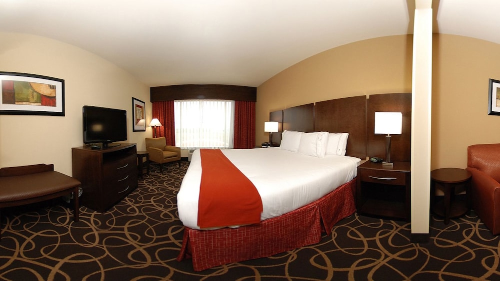 Holiday Inn Express Hotel & Suites Houston South - Pearland 19/61