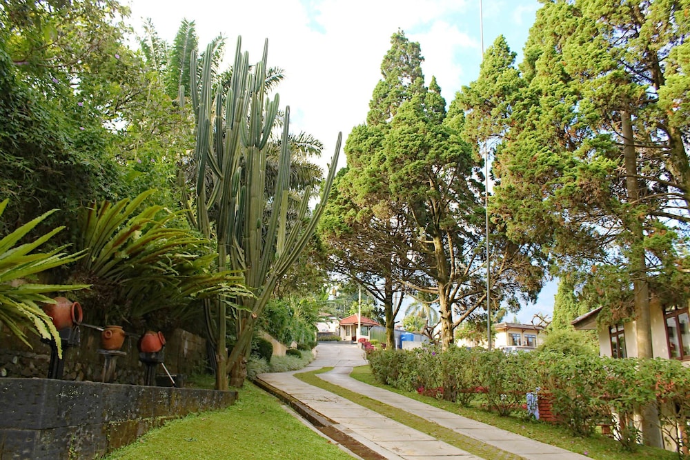 The Jayakarta Inn & Villas Cisarua 19/33