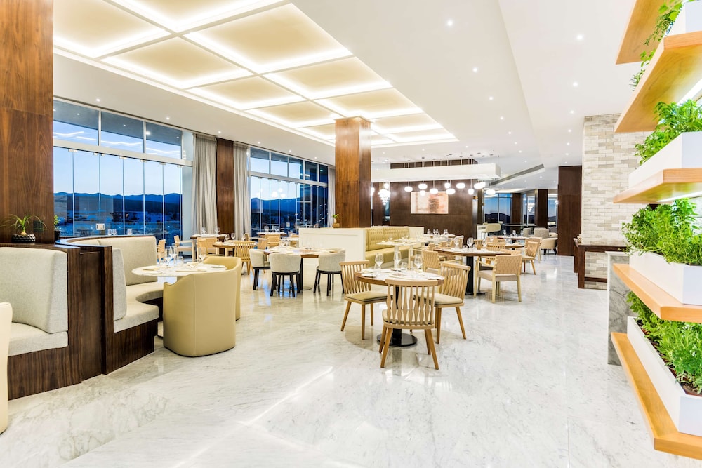Hyatt Regency San Luis Potosi 49/74
