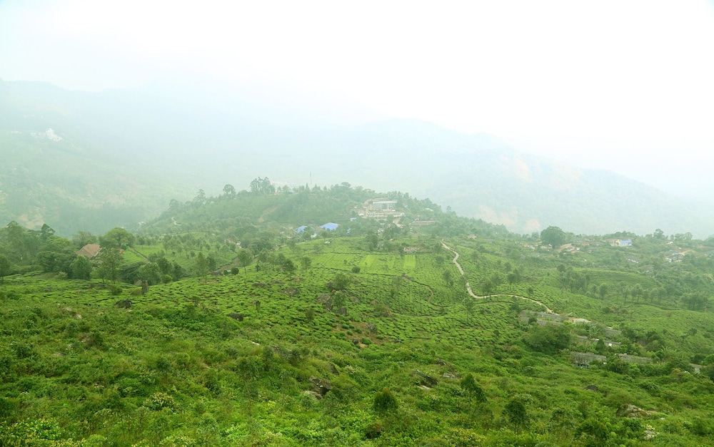 Amber Dale Luxury Hotel and Spa, Munnar (ex PLUM JUDY - THE LEISURE HOTEL) 49/50