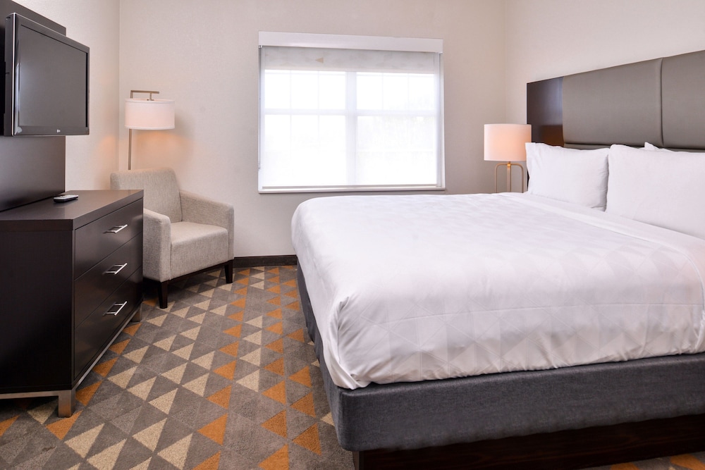 جناح بسرير كينج بغرفة نوم واحدة لذوي الإعاقة، Holiday Inn Express Hotel And Suites Dallas Addison 4/5