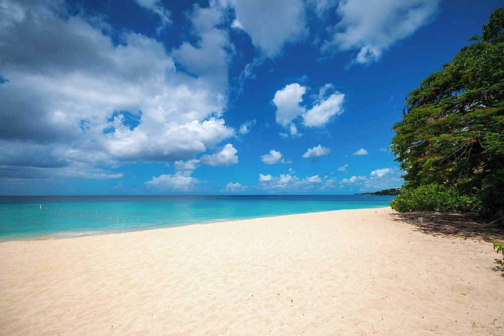 Crystal Cove by Elegant Hotels - All-Inclusive 43/50