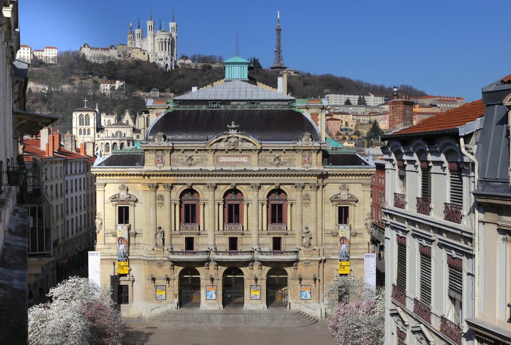 Hotel Des Celestins 3/39