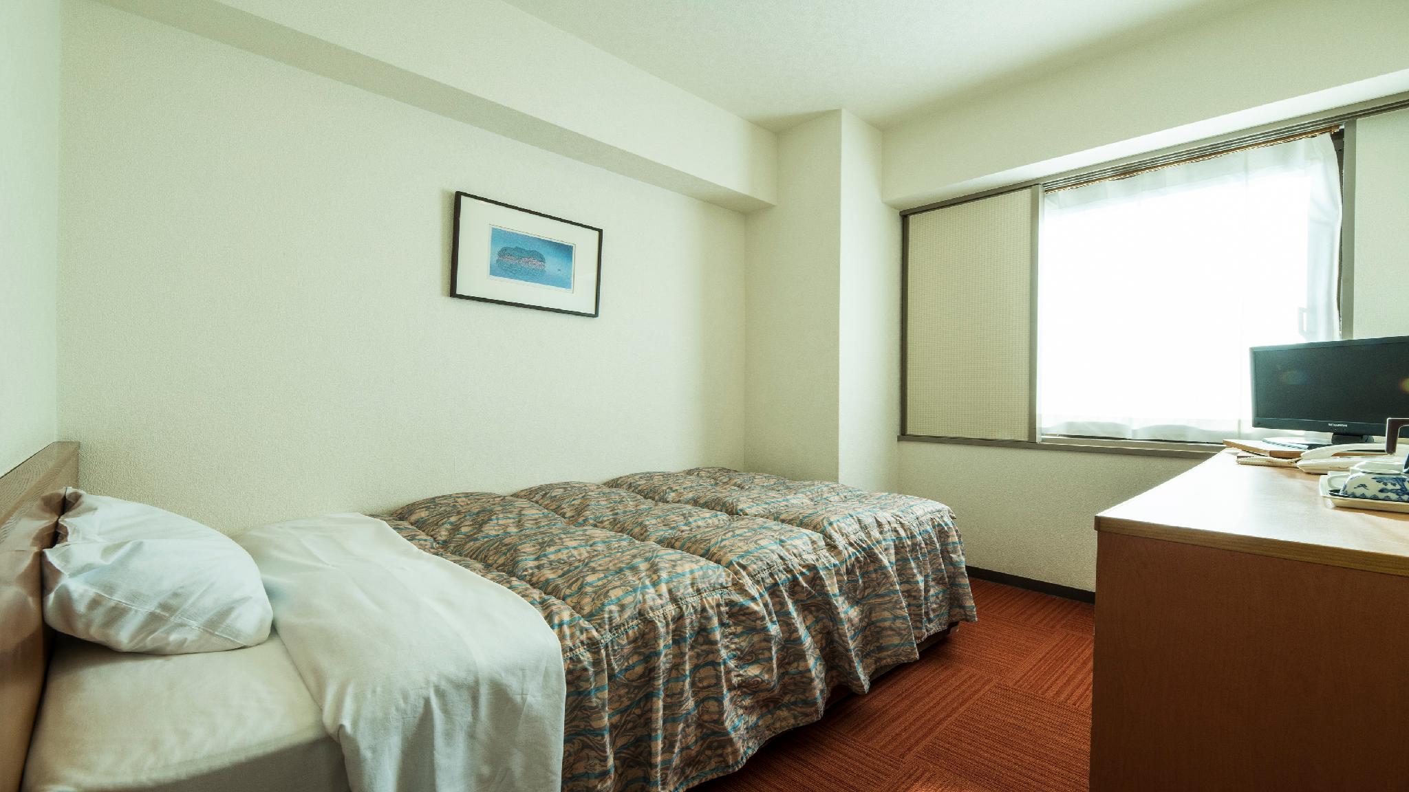 Room, Single, Partial King Bed